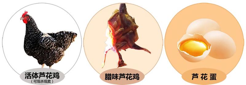 產品.jpg